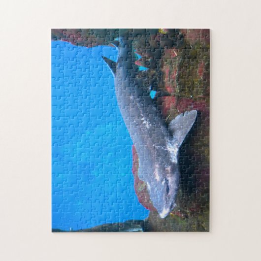 Puzzle Requins marins. (Vertical)