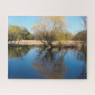 Puzzle Rèseaux et étangs sauvages au printemps