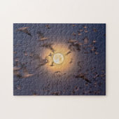 Puzzle Réserve nationale de faune de Bosque del Apache (Horizontal)