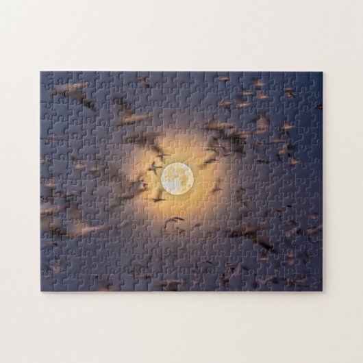 Puzzle Réserve nationale de faune de Bosque del Apache (Horizontal)