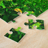 PUZZLE RÉSERVE NATURELLE D'ITHACA NEW YORK (Côté)