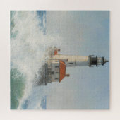 Puzzle Résilience balnéaire (Horizontal)