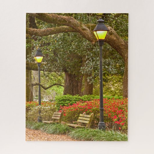 Puzzle Ressort dans la savane, GA, parc de Forsyth, (Vertical)