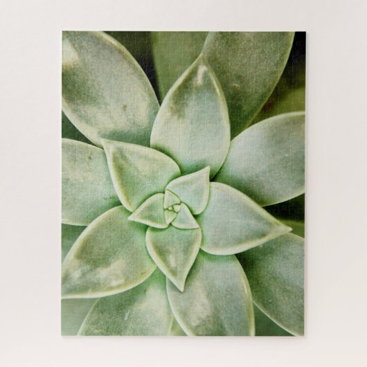 Puzzle Ressort Succulent (Vertical)