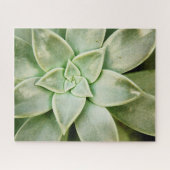 Puzzle Ressort Succulent (Horizontal)