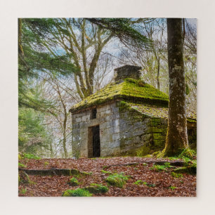 Puzzle Retraite des forêts mystiques