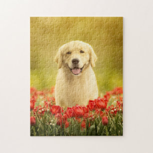 Puzzle Retraite d'or en fleurs rouges