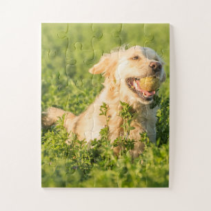 Puzzle Retriever doré avec balle