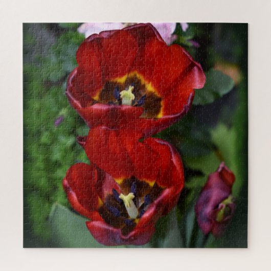 Puzzle Réveil du printemps, Tulipes (Vertical)