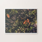 Puzzle Rêves de champignons (Horizontal)