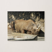 Puzzle Rhino couché (Horizontal)