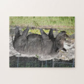 Puzzle Rhinocéros (Horizontal)