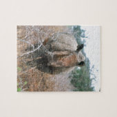 Puzzle Rhinocéros de remplissage (Horizontal)