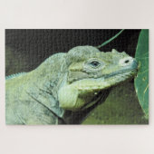 Puzzle Rhinoceros Iguana (Horizontal)