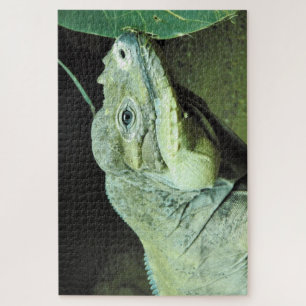 Puzzle Rhinoceros Iguana