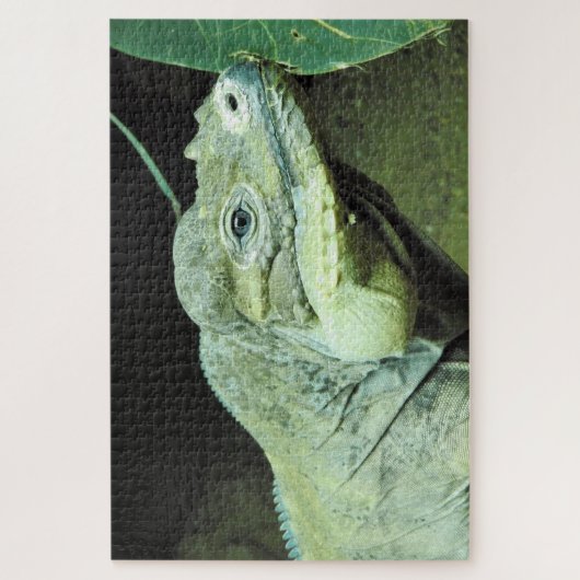 Puzzle Rhinoceros Iguana (Vertical)