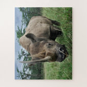 Puzzle Rhinocéros noir | Kenya (Vertical)