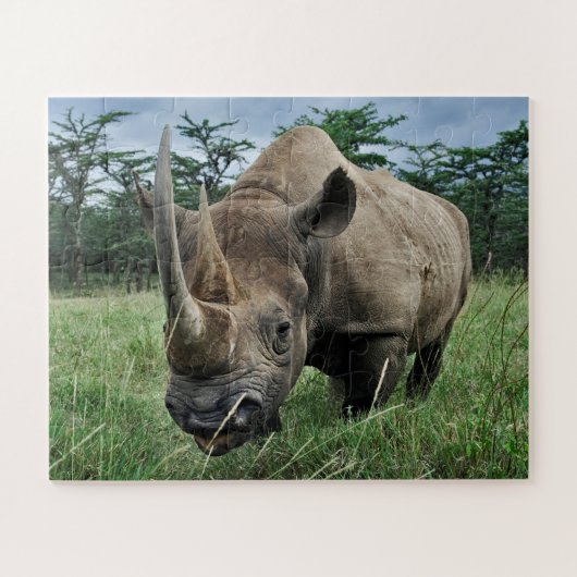 Puzzle Rhinocéros noir | Kenya (Horizontal)
