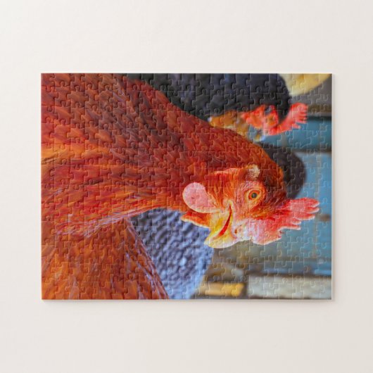 Puzzle Rhode Island Rooster. (Horizontal)