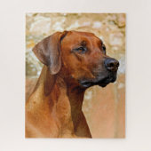 Puzzle Rhodesian Ridgeback (Vertical)