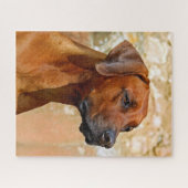 Puzzle Rhodesian Ridgeback (Horizontal)