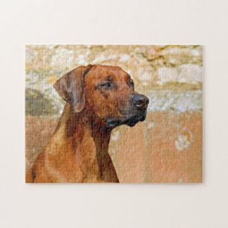 Puzzle Rhodesian Ridgeback