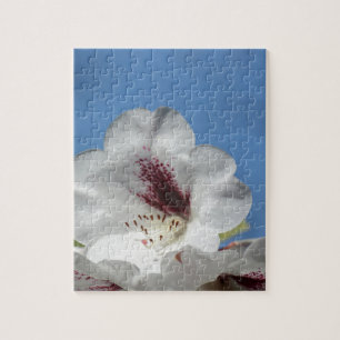 Puzzle Rhododendron blanc avec bordeaux