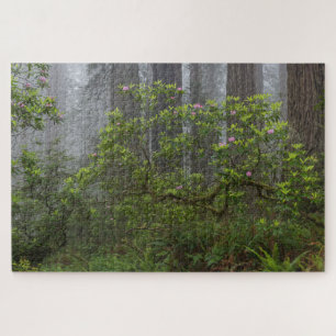 Puzzle Rhododendron dans le parc national Redwood en Cali