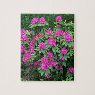 Puzzle Rhododendron de forêt