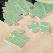 Puzzle Ribes nigrum cassis récolte (Côté)