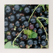 Puzzle Ribes nigrum cassis récolte (Horizontal)