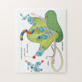 Puzzle Ribosome mRNA tRNA molecules proteins Diagram  (Vertical)