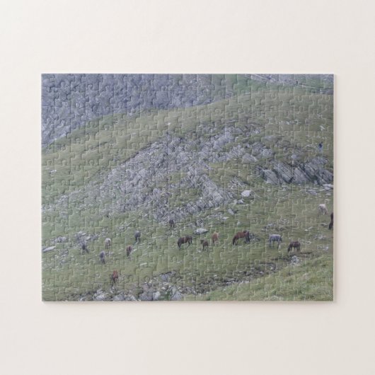 Puzzle Rila Mountain Sept Lacs Chevaux sauvages Bulgarie (Horizontal)