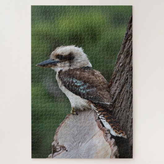 Puzzle Rire Kookaburra Bird in a Tree, 1014 pièces (Vertical)