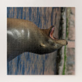 Puzzle Rire le phoque (Horizontal)