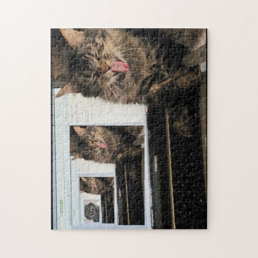 Puzzle Rires high tech en 3D (Vertical)