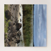 Puzzle Rives tranquilles du lac Bolac (Horizontal)