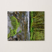 Puzzle Rivière dans la forêt verte, Oregon (Horizontal)
