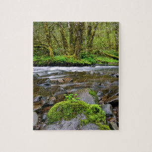 Puzzle Rivière dans la forêt verte, Oregon