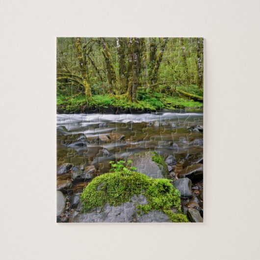 Puzzle Rivière dans la forêt verte, Oregon (Vertical)