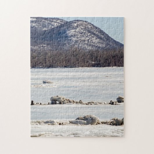 Puzzle Rivière gelée (Vertical)