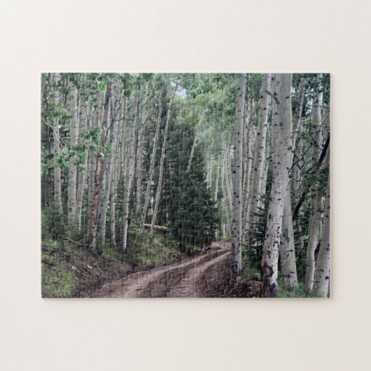 Puzzle Road Through The Birch (Horizontal)