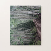 Puzzle Road Through The Birch (Vertical)