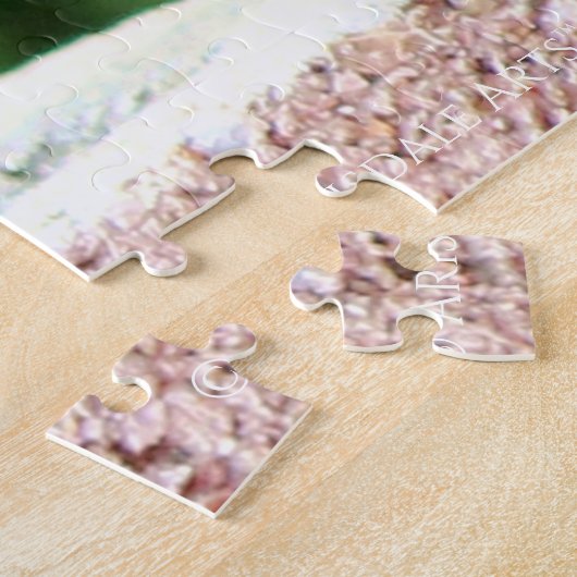 Puzzle Robin (Côté)