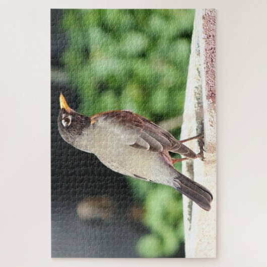 Puzzle Robin (Vertical)