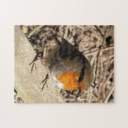 PUZZLE ROBIN (Horizontal)