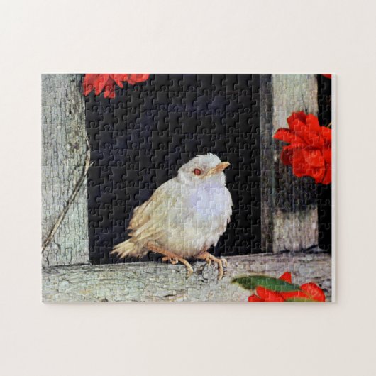Puzzle Robin albinos rare (Horizontal)