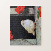 Puzzle Robin albinos rare (Vertical)