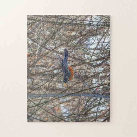 Puzzle Robin américain (Vertical)