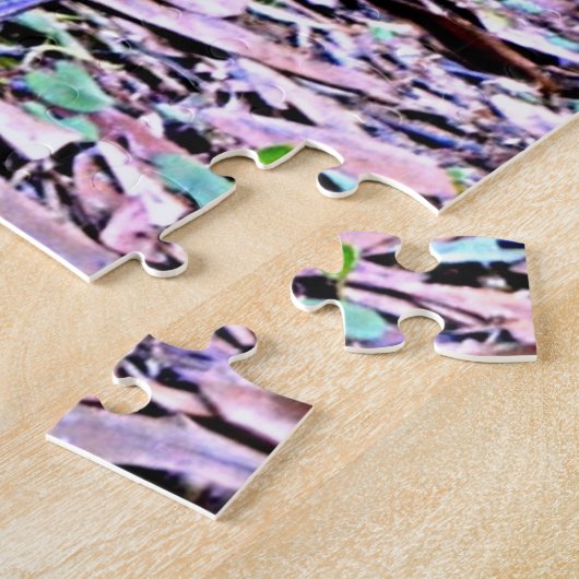 Puzzle Robin (American Robin) (Côté)